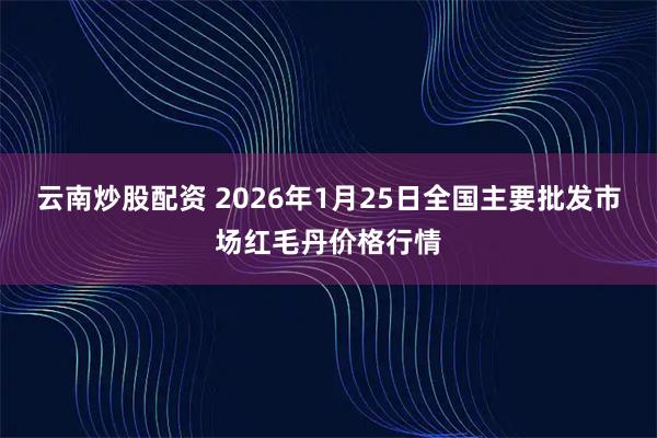 云南炒股配资 2026年1月25日全国主要批发市场红毛丹价格行情