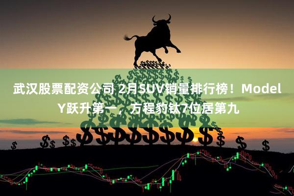 武汉股票配资公司 2月SUV销量排行榜！Model Y跃升第一，方程豹钛7位居第九